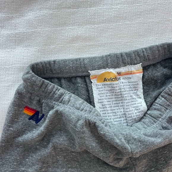 Aviator Nation Gray and Blue Joggers with Sporty Stripe - Picture 2 of 2